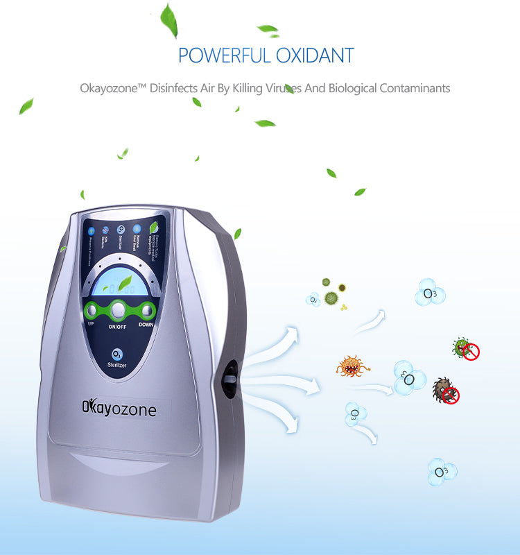 OkayOzone AM-500 Household Water and Air Ozone Generator Purifier for Fruits and Vegetables Decomposition of Pesticides